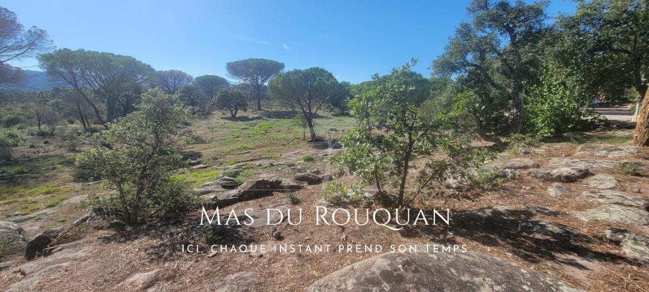 Le Mas Du Rouquan Vidauban Kültér fotó
