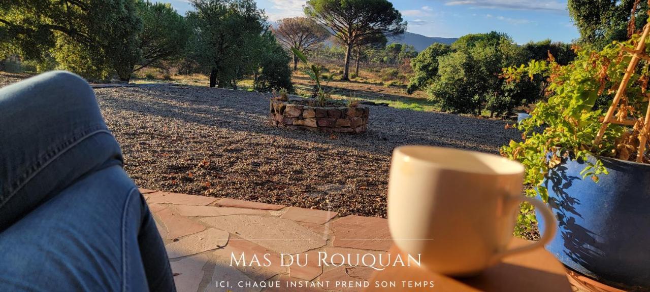 Le Mas Du Rouquan Vidauban Kültér fotó