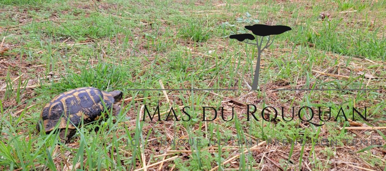 Le Mas Du Rouquan Vidauban Kültér fotó